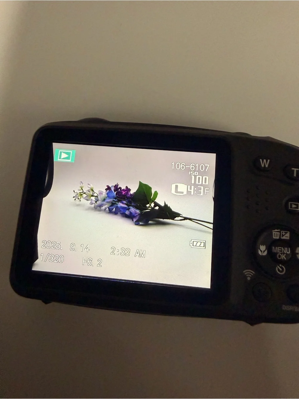 Fujifilm includes one